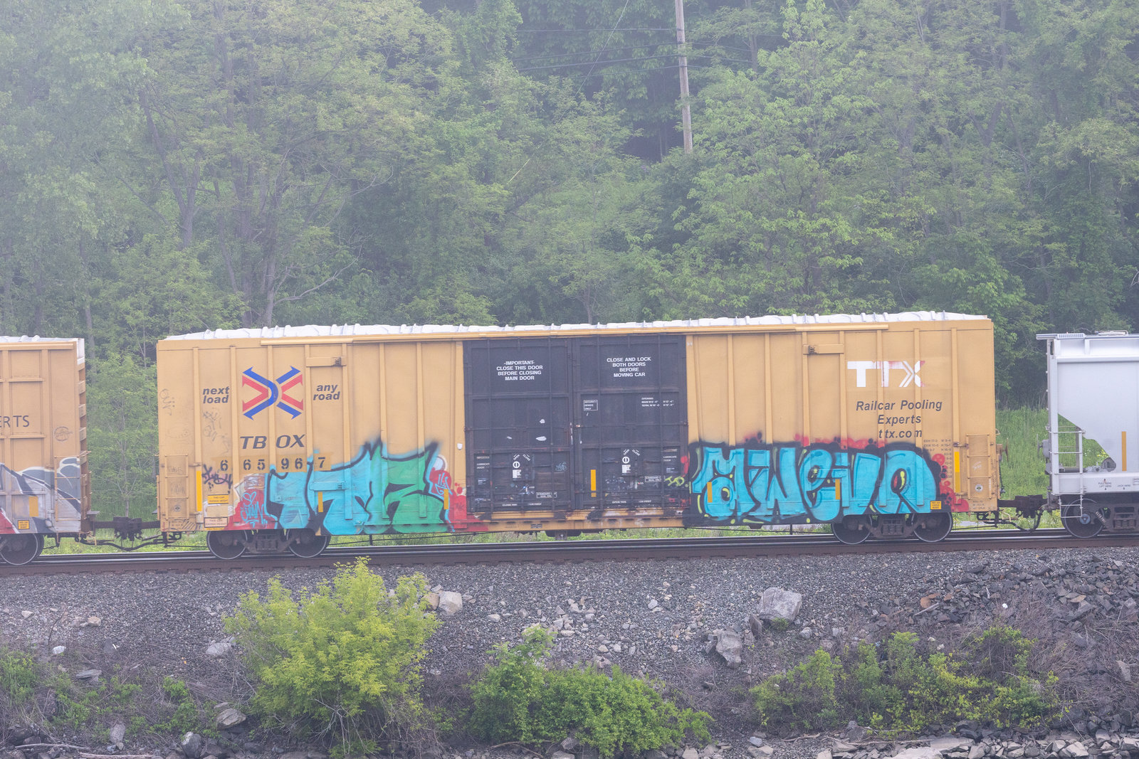 TBOX 665967