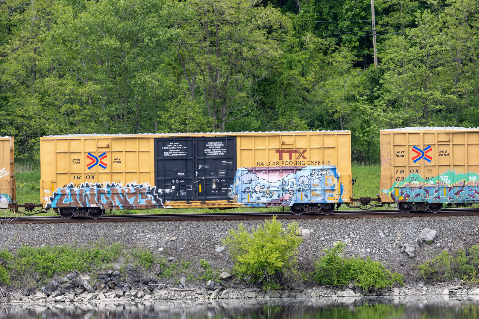 TBOX 675442