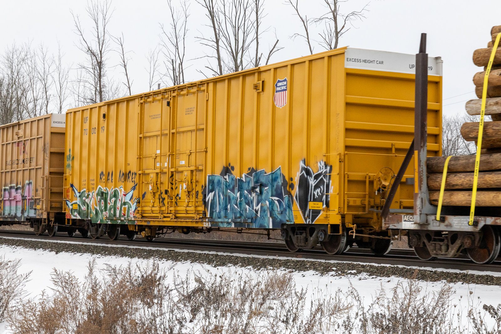 UP 700019