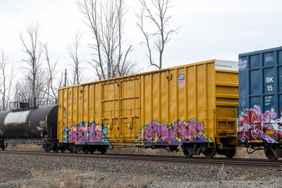 UP 700306