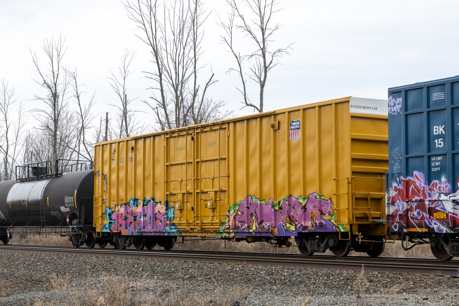 UP 700306
