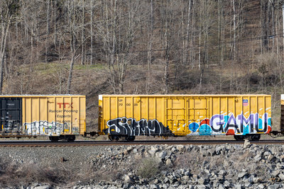 UP 700028