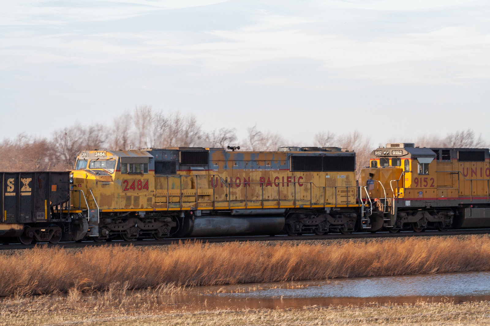 UP 2484
