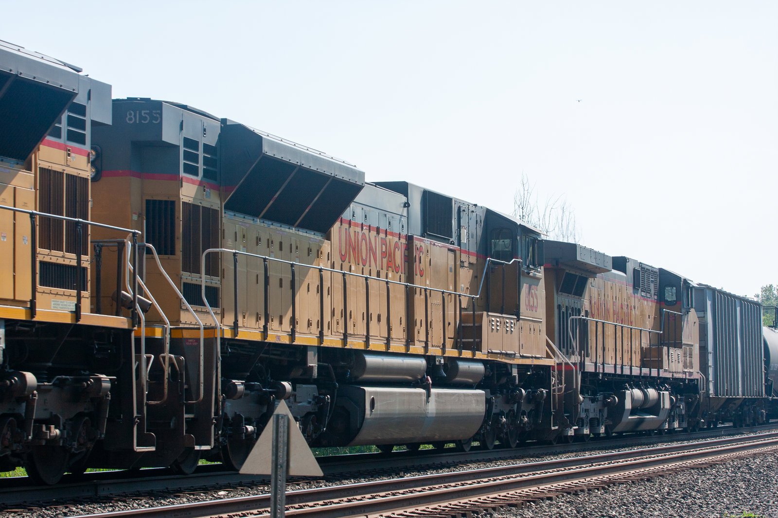 UP 8155