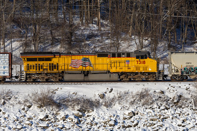UP 7318