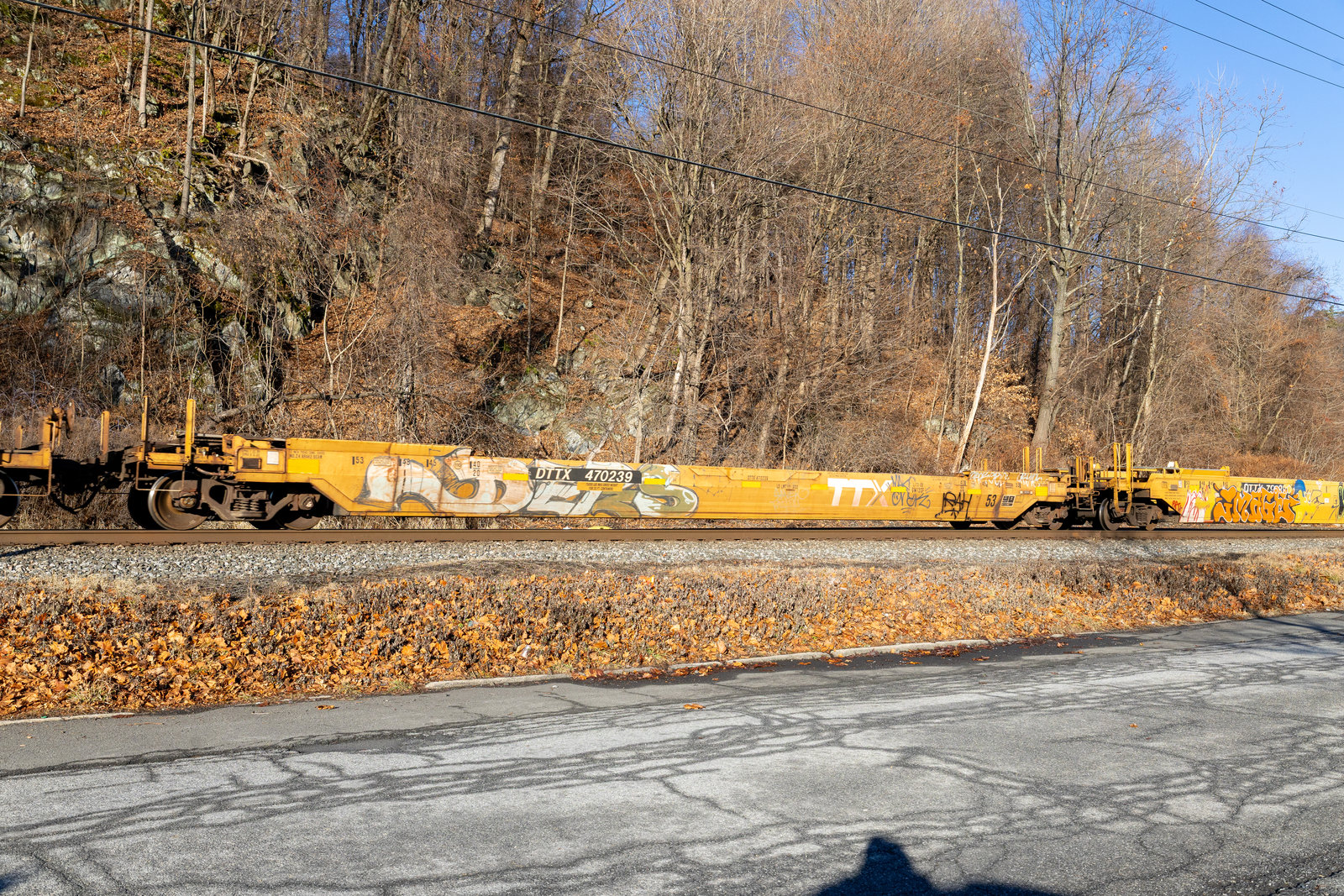 DTTX 470239