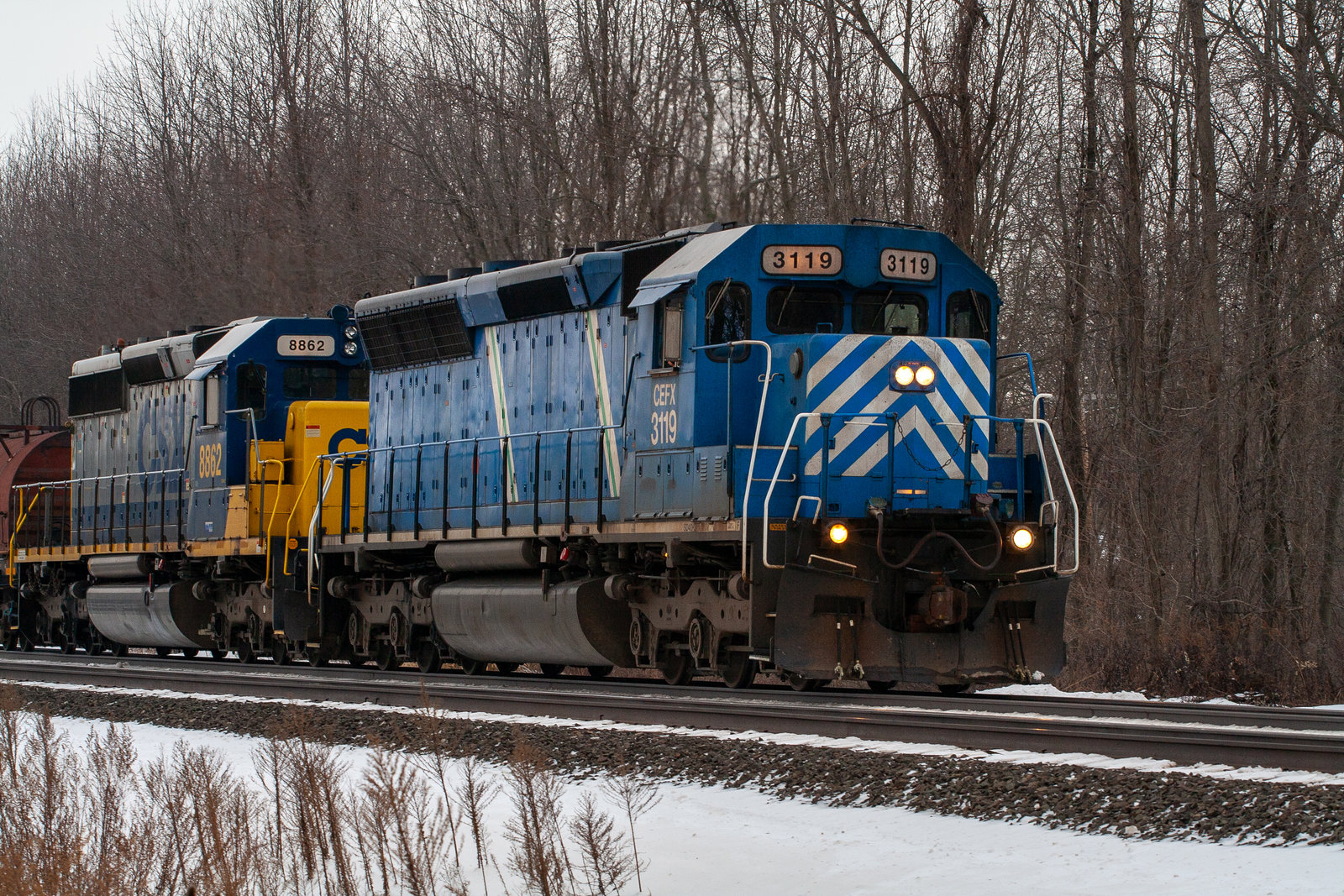 CEFX 3119