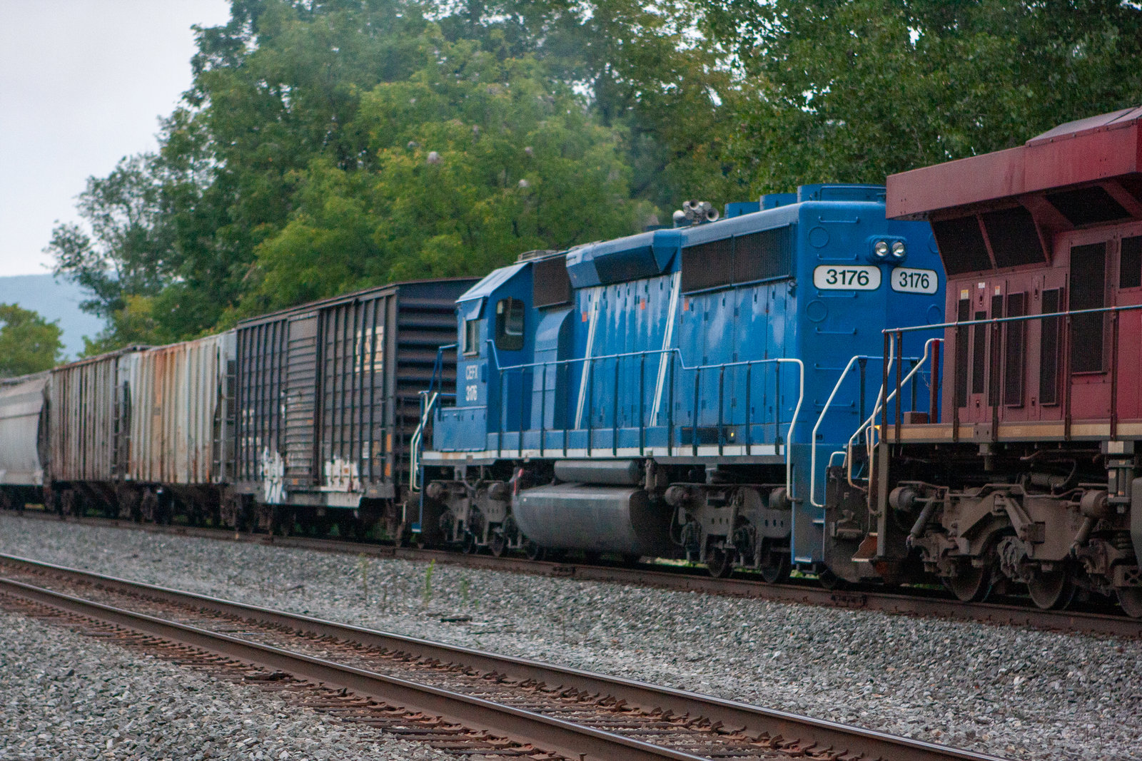 CEFX 3176
