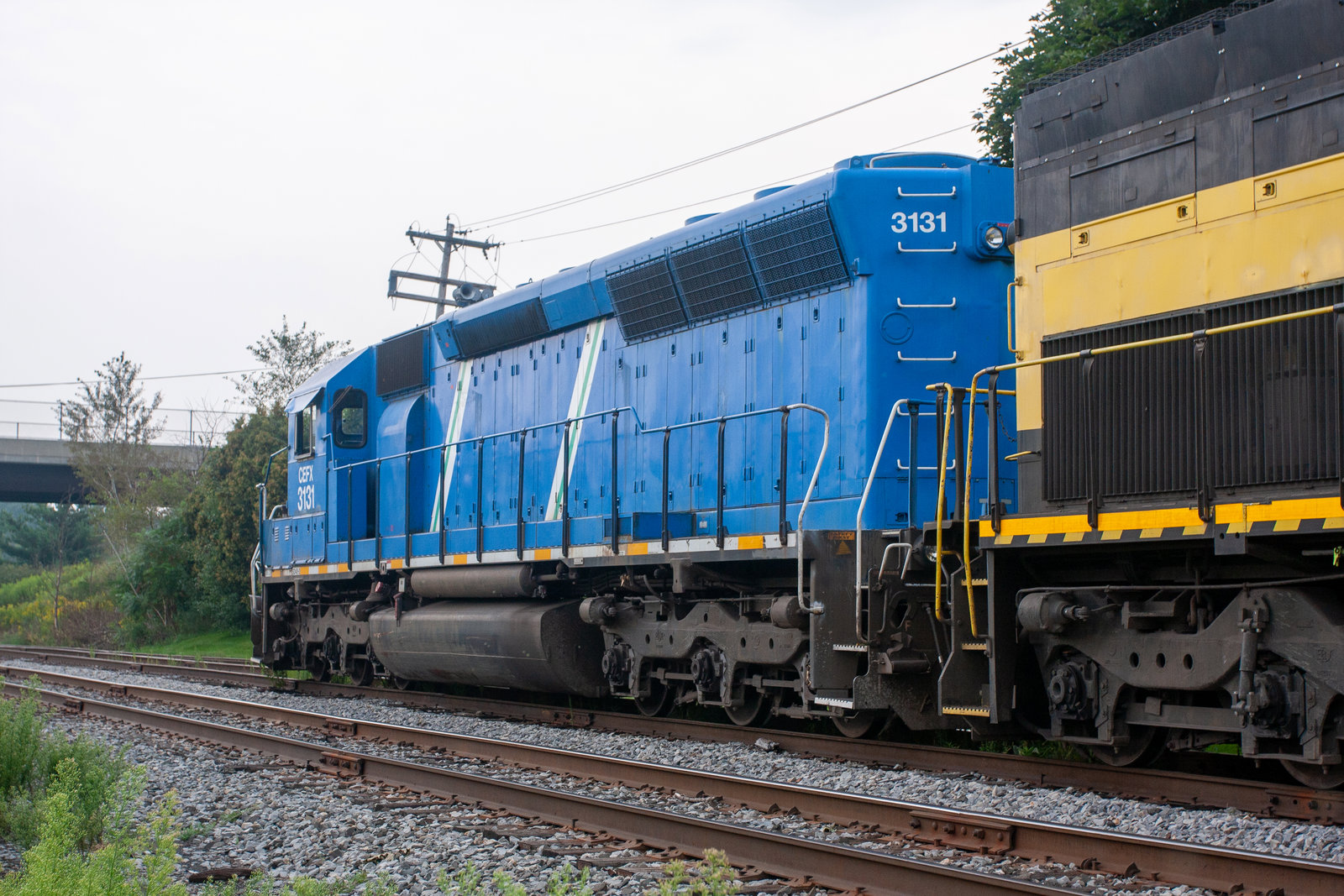 CEFX 3131