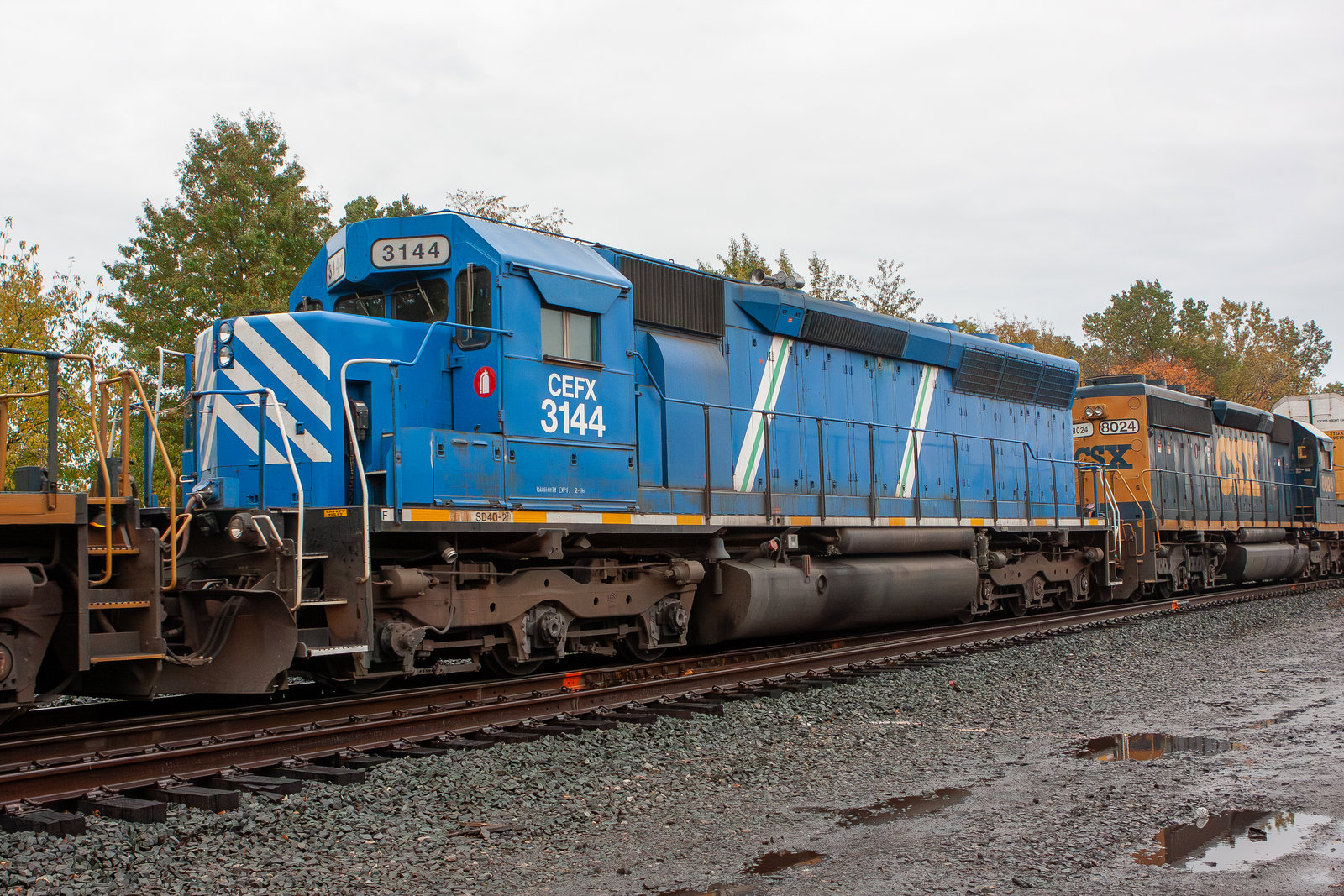 CEFX 3144