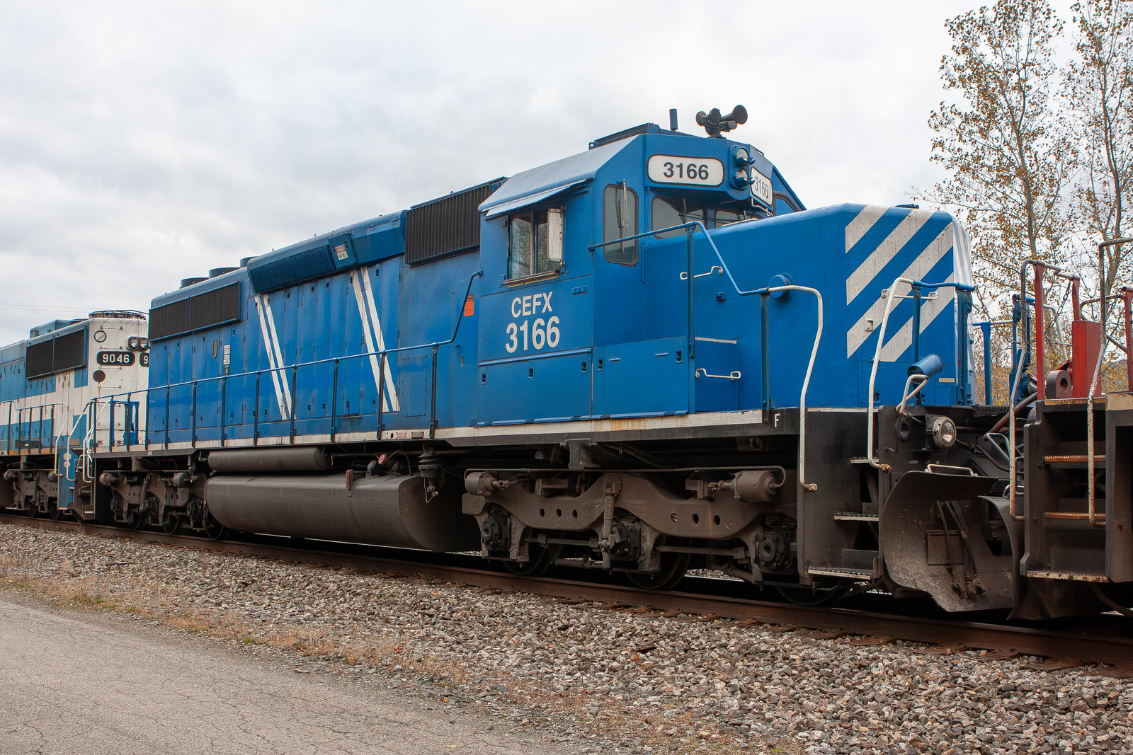 CEFX 3166