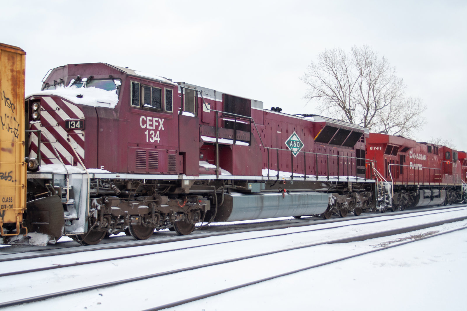 CEFX 134