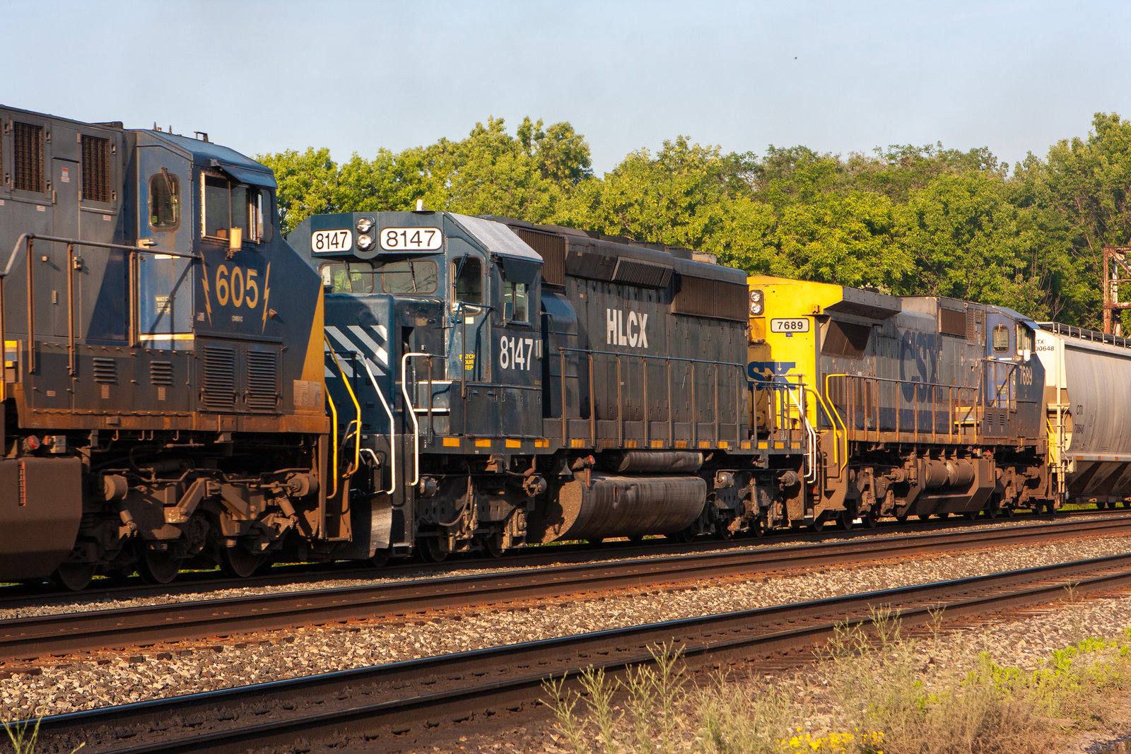 HLCX 8147