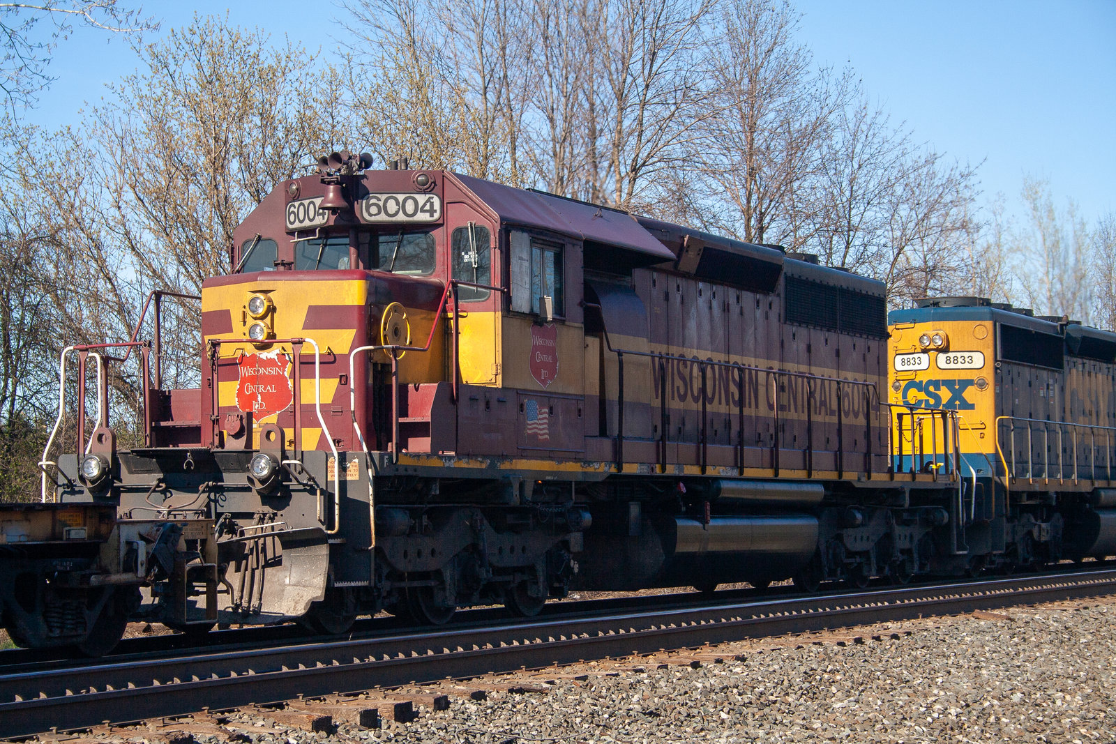WC 6004