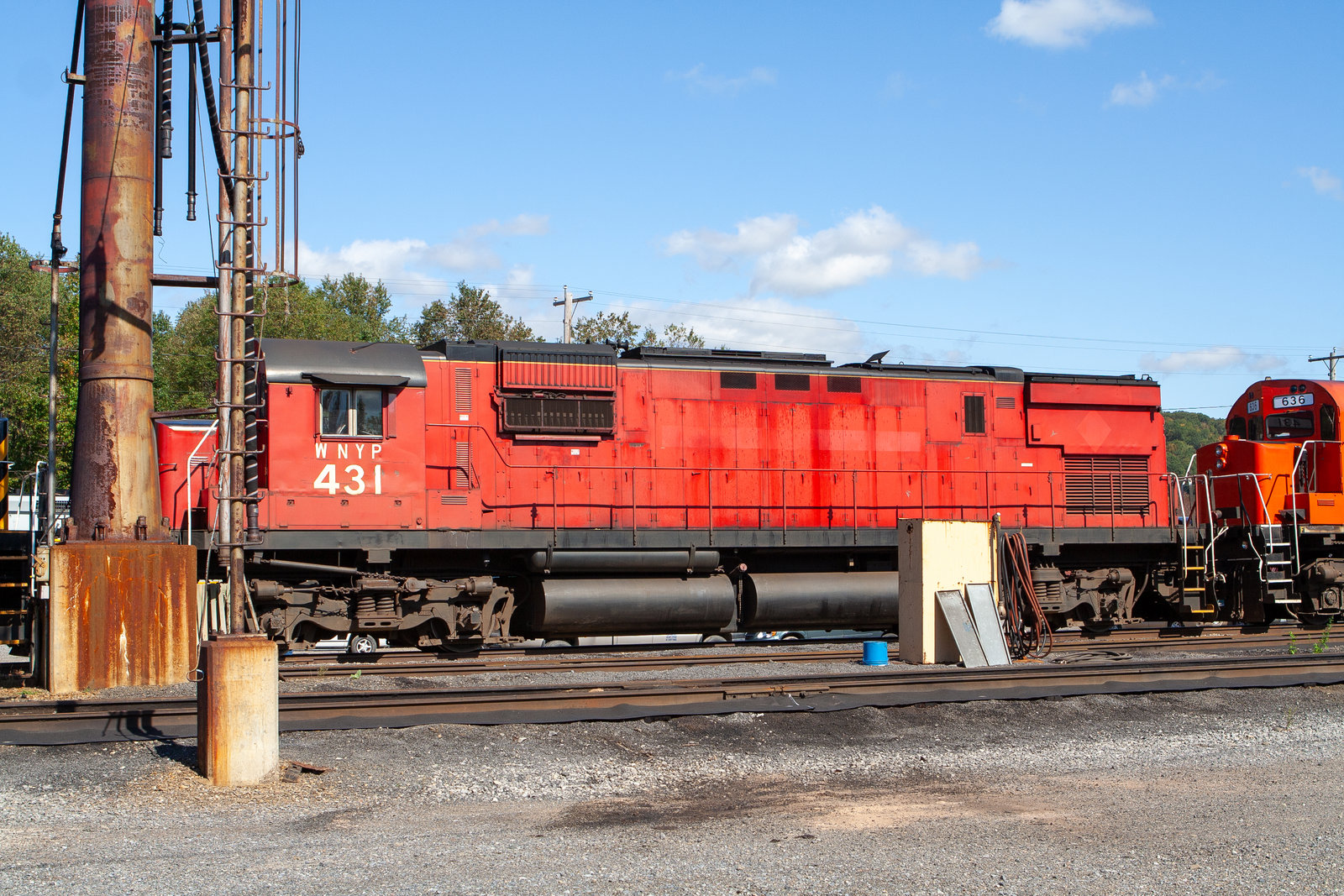 WNYP 431