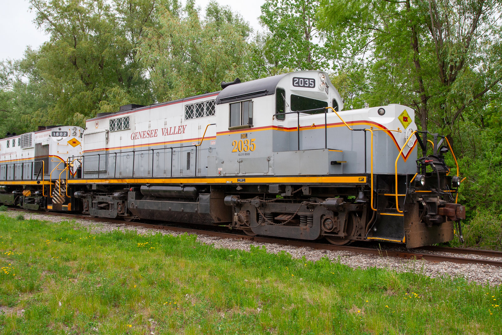 DL 2035