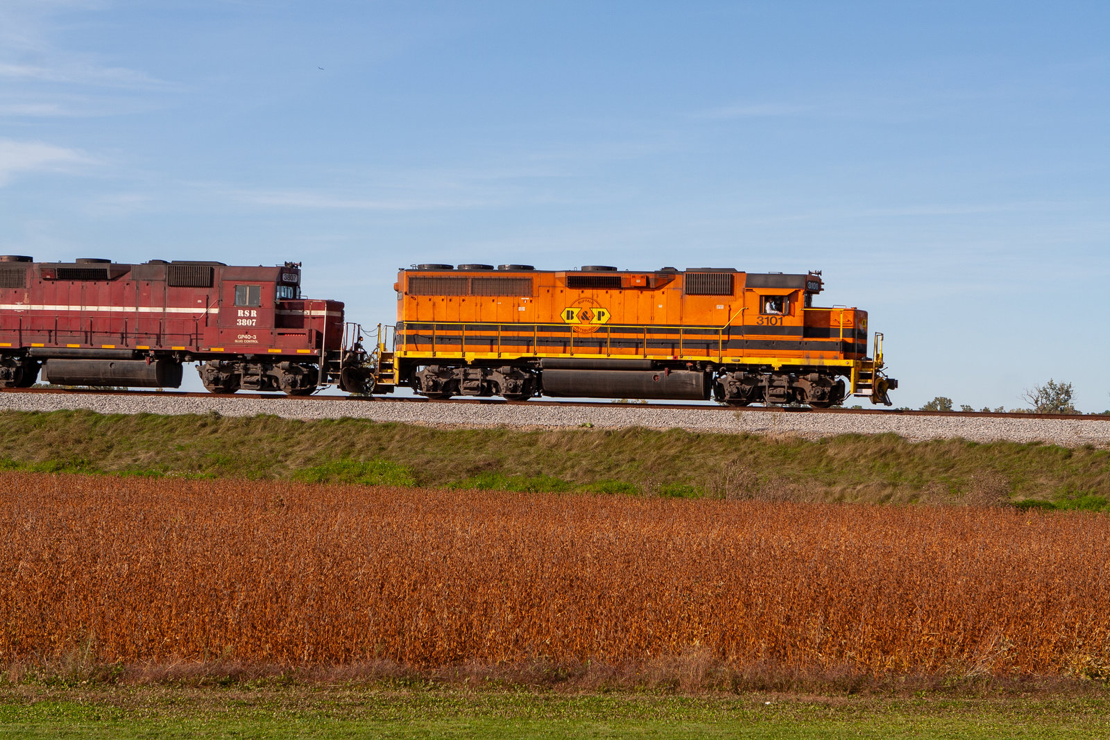BPRR 3101