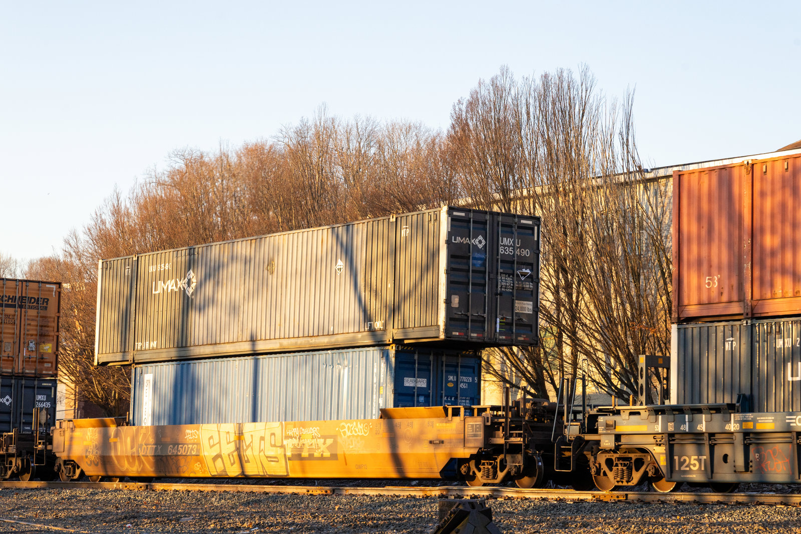 DTTX 645073