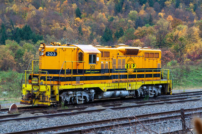 BPRR 203
