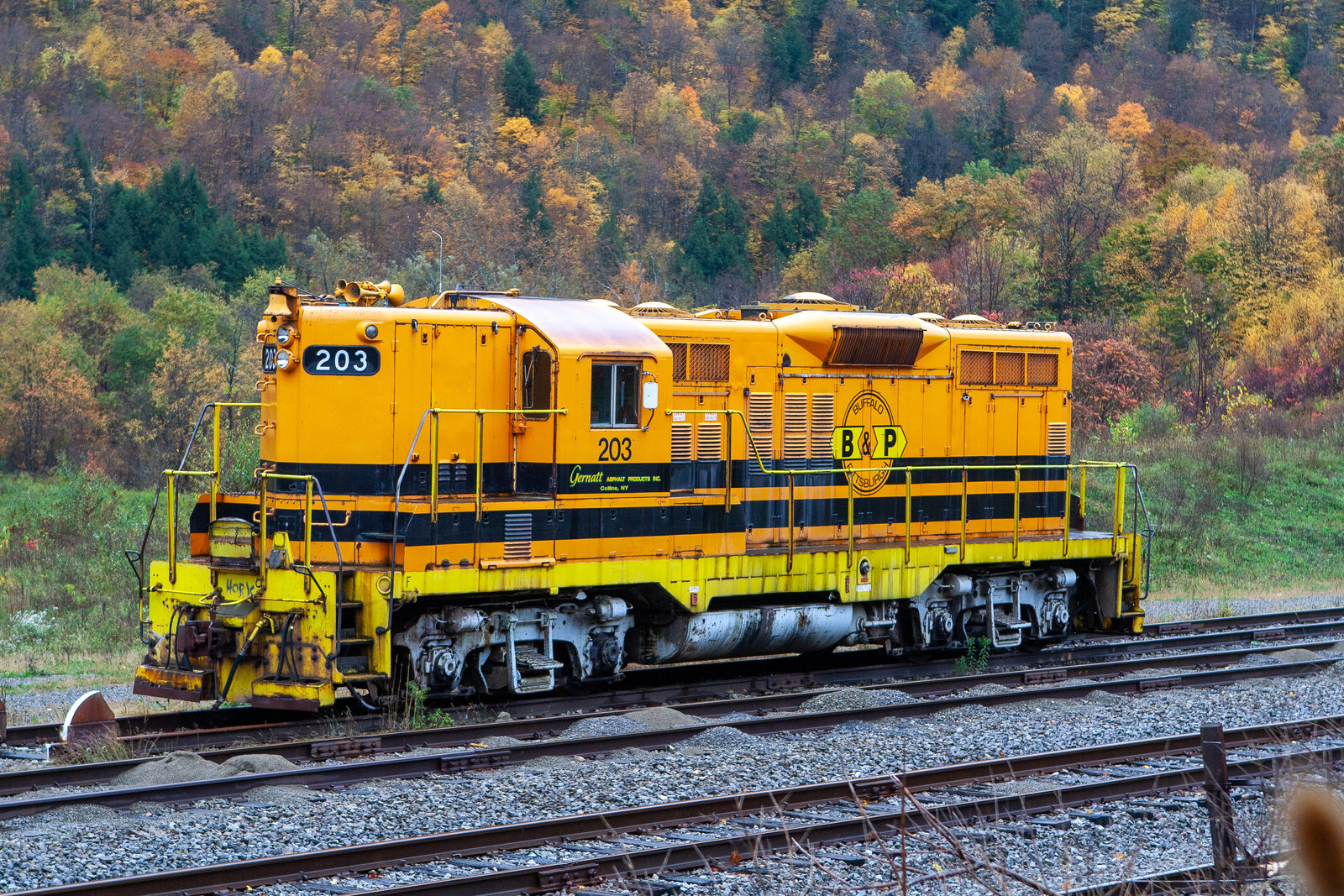 BPRR 203