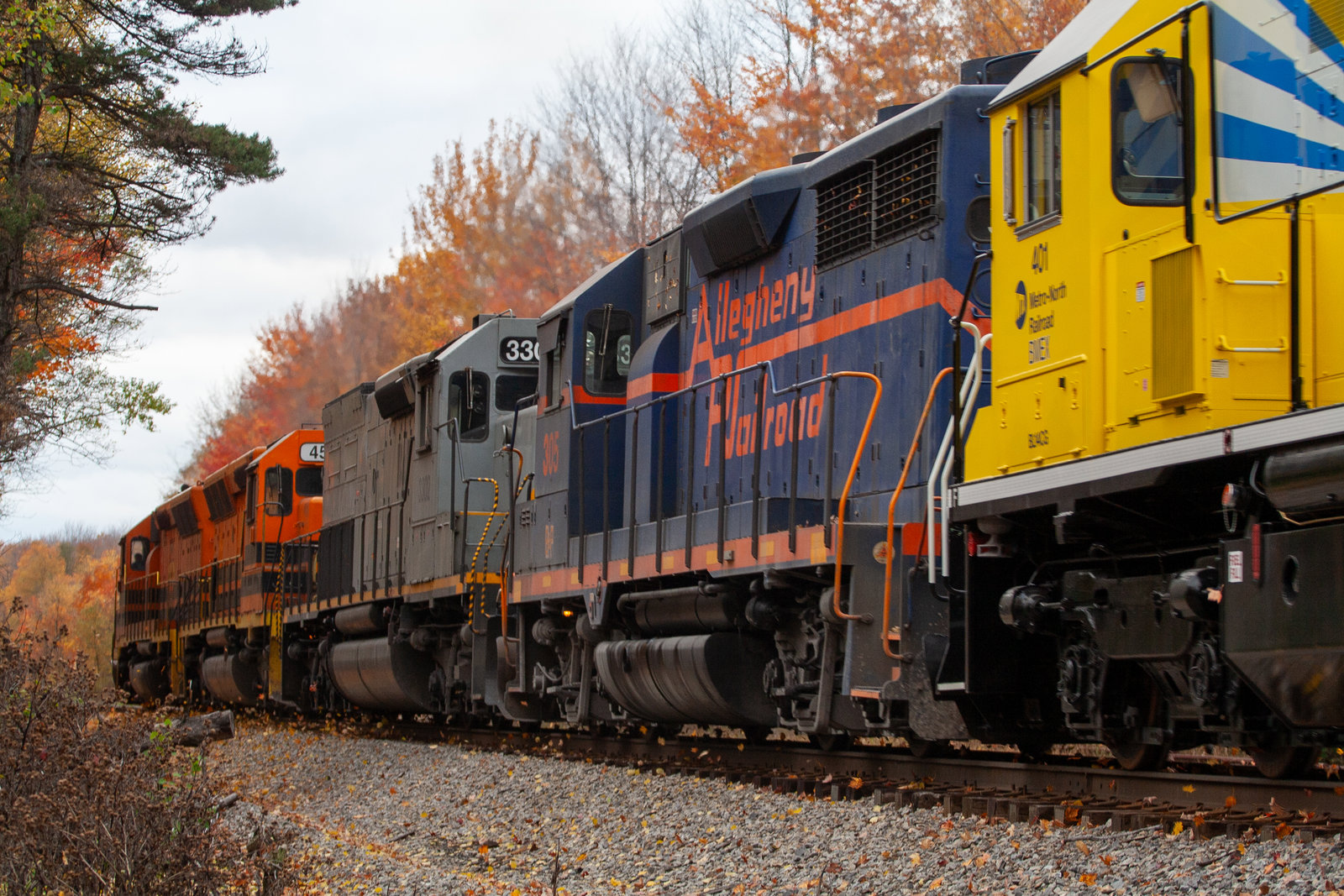 BPRR 305