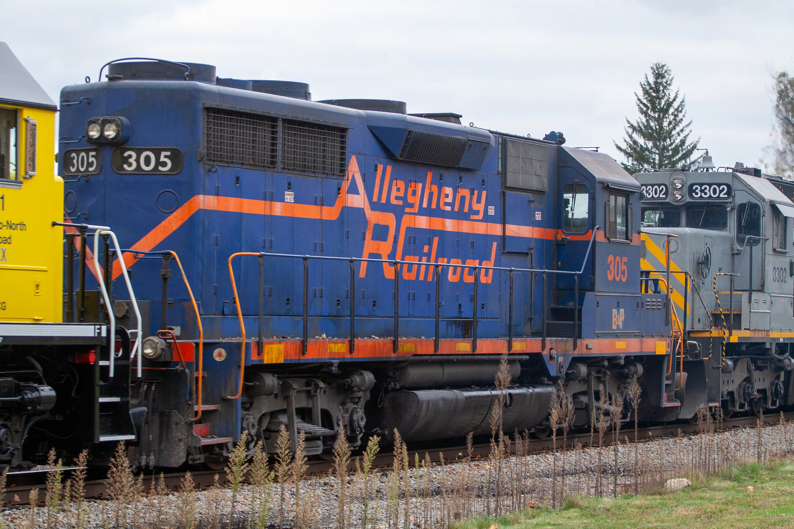BPRR 305