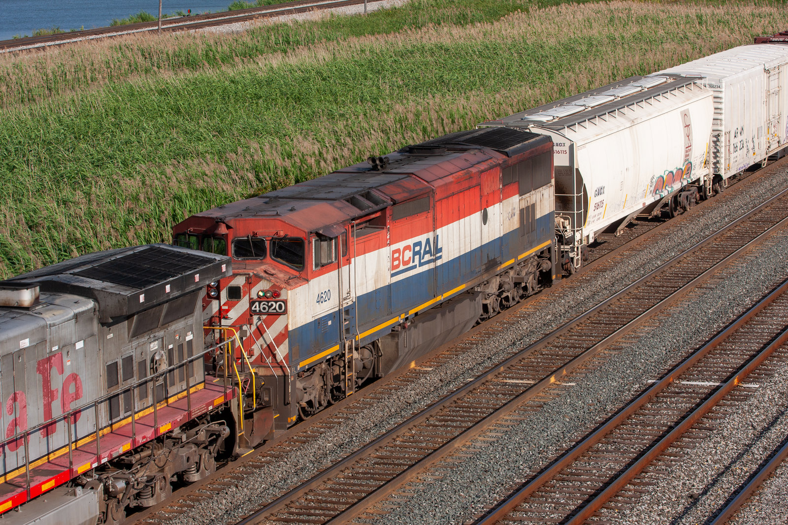BCOL 4620