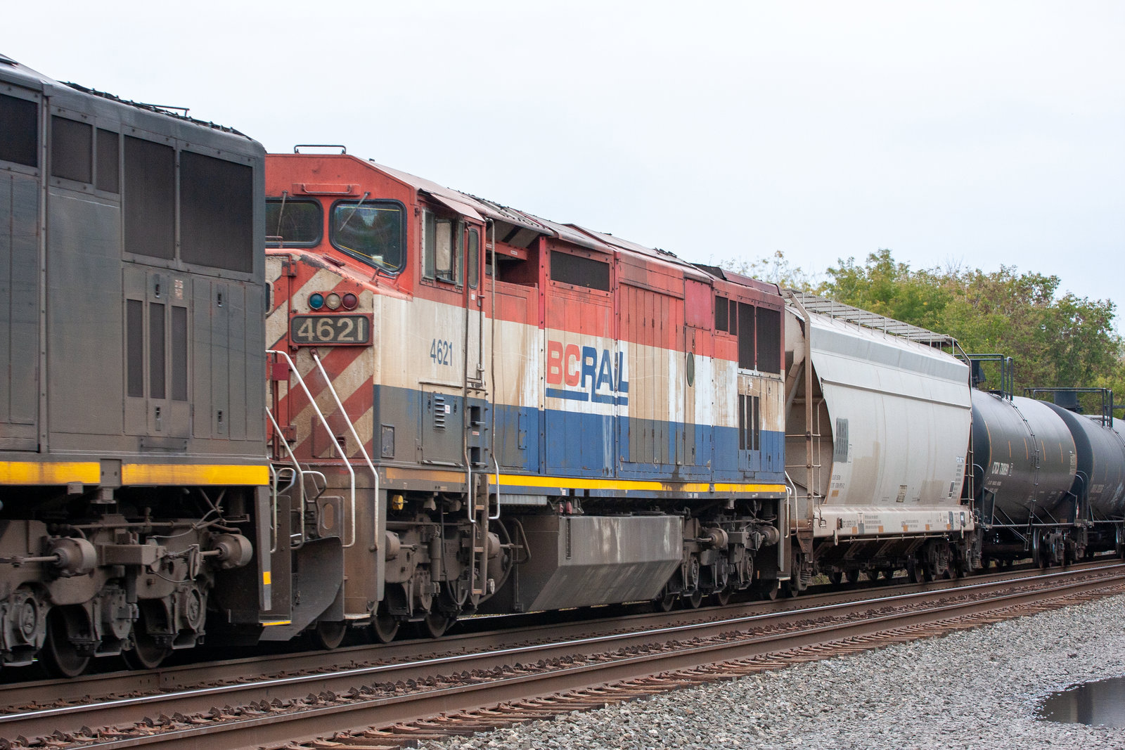 BCOL 4621