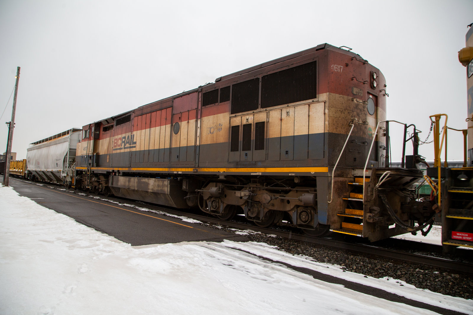 BCOL 4617