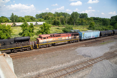 BCOL 4616