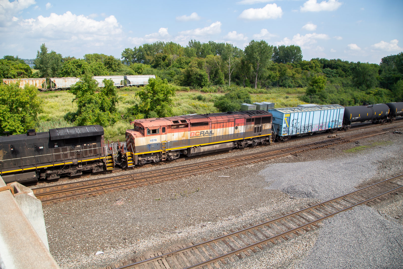 BCOL 4616