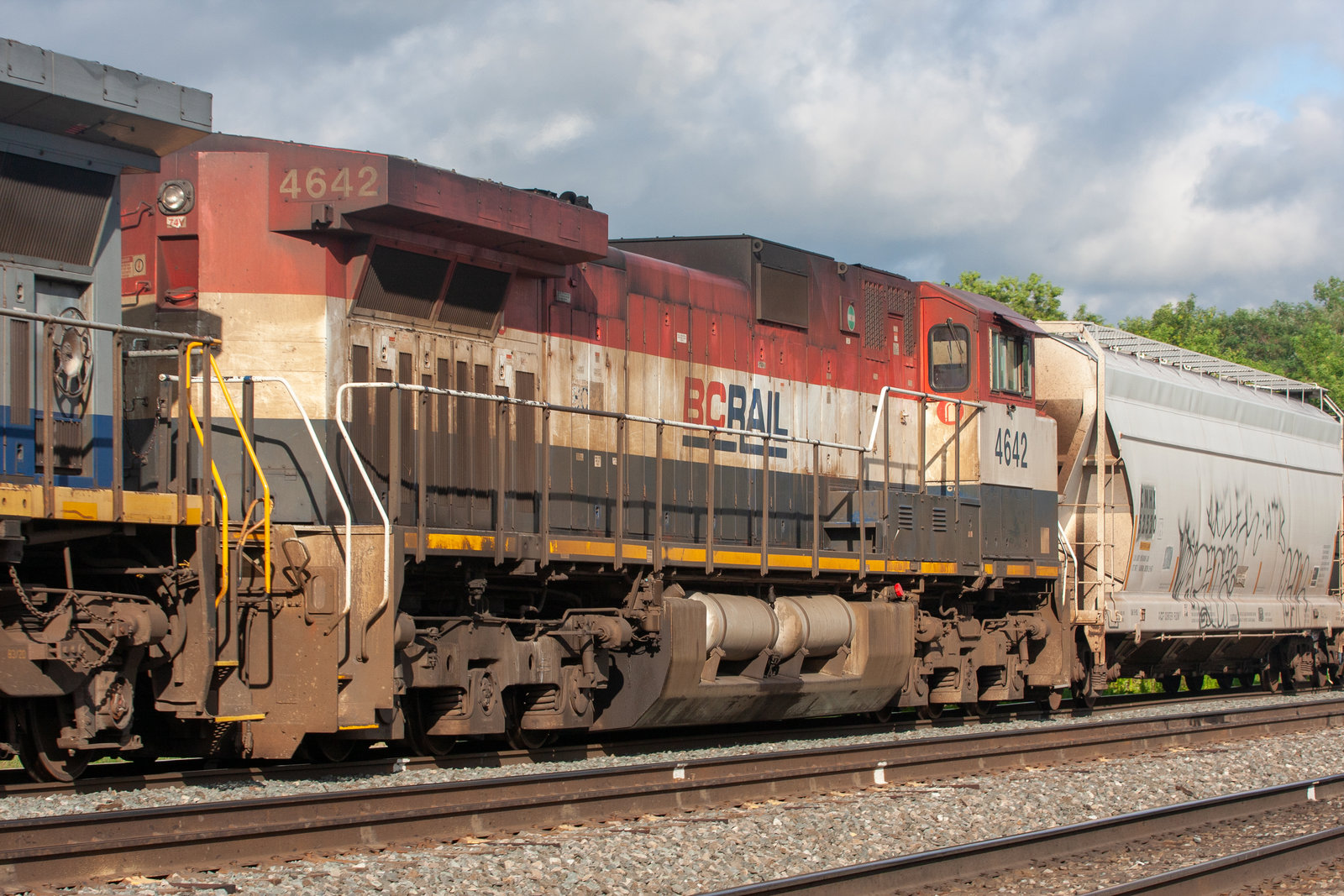 BCOL 4642