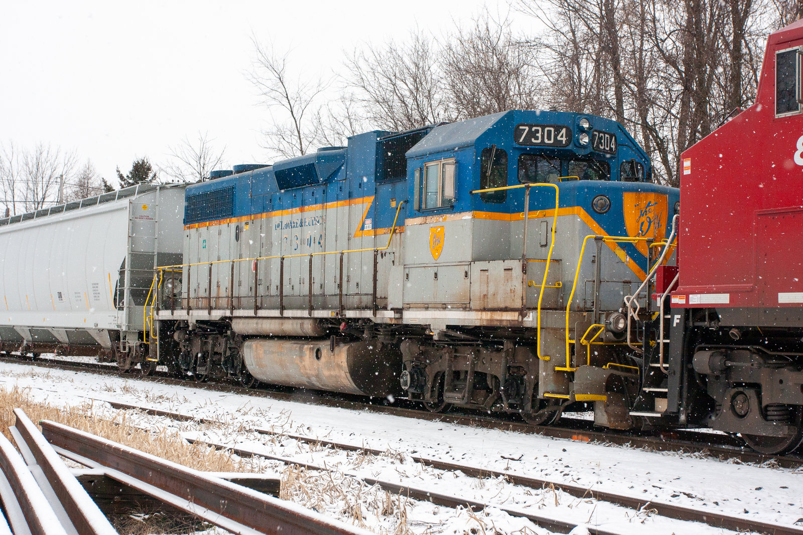 DH 7304