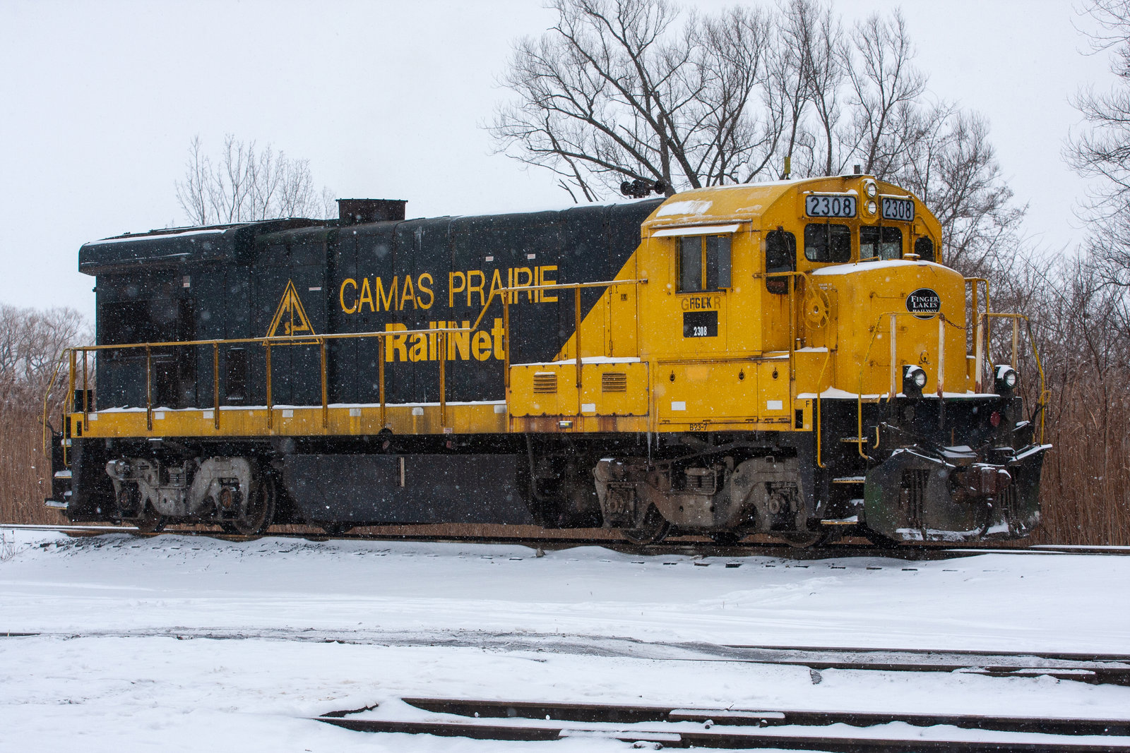 FGLK 2308