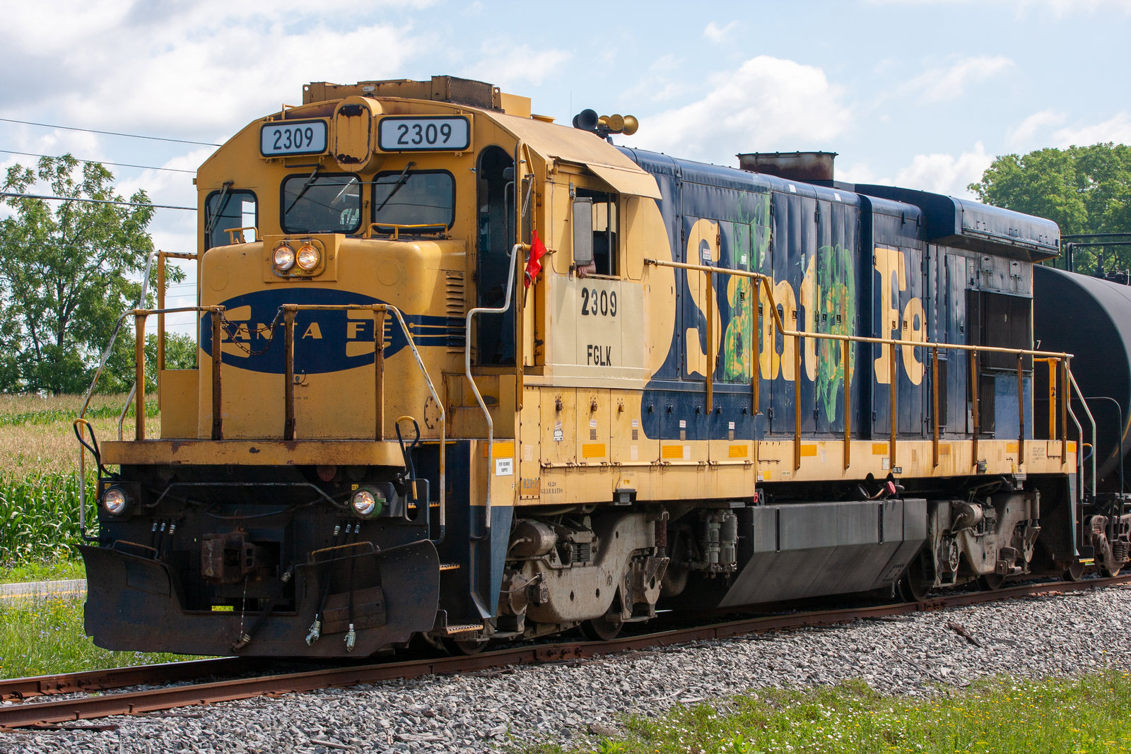 FGLK 2309