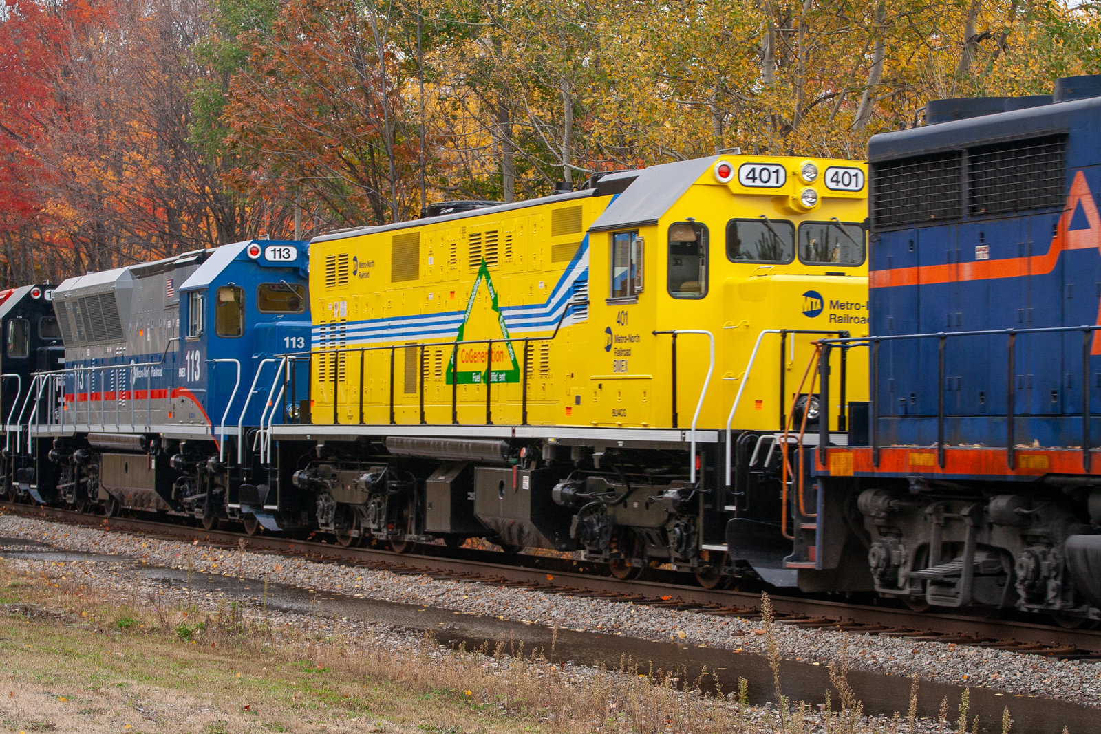 MNCW 401