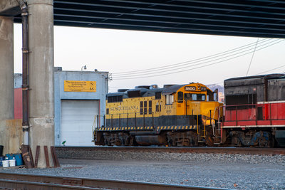 NYSW 1800