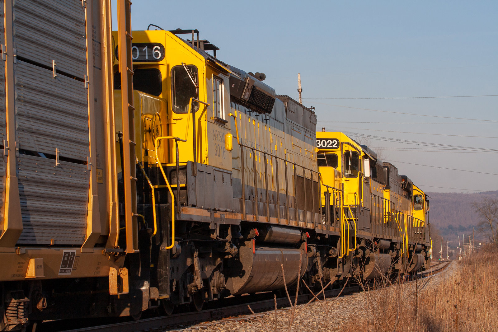 NYSW 3016