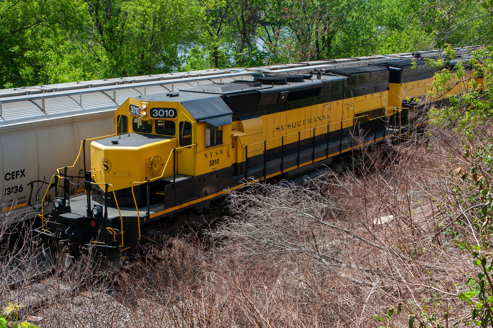 NYSW 3010