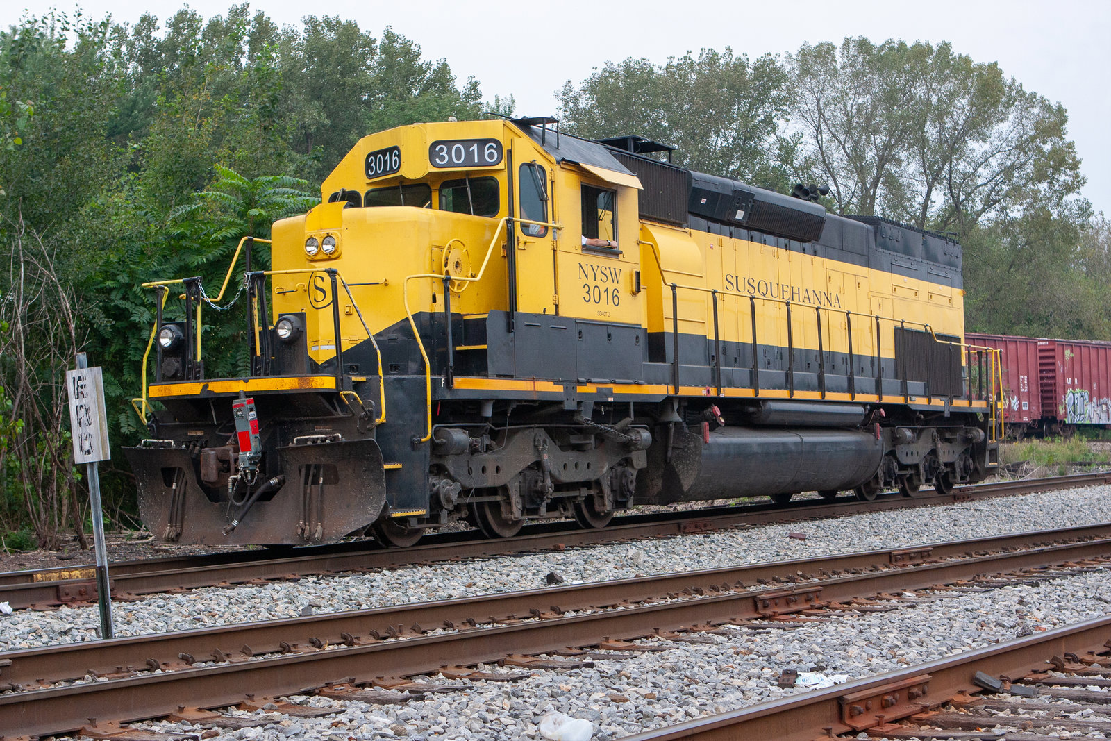 NYSW 3016