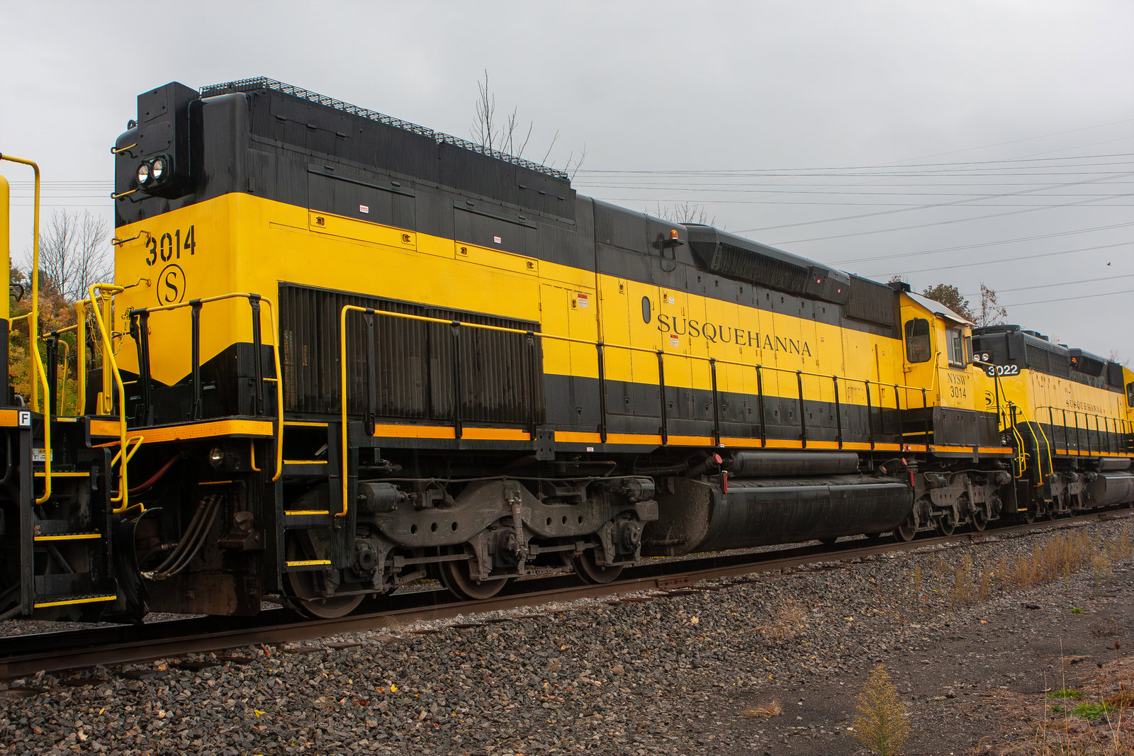 NYSW 3014
