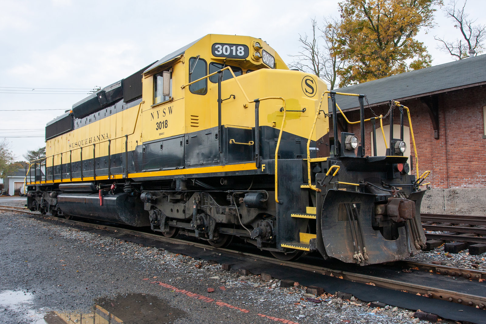 NYSW 3018