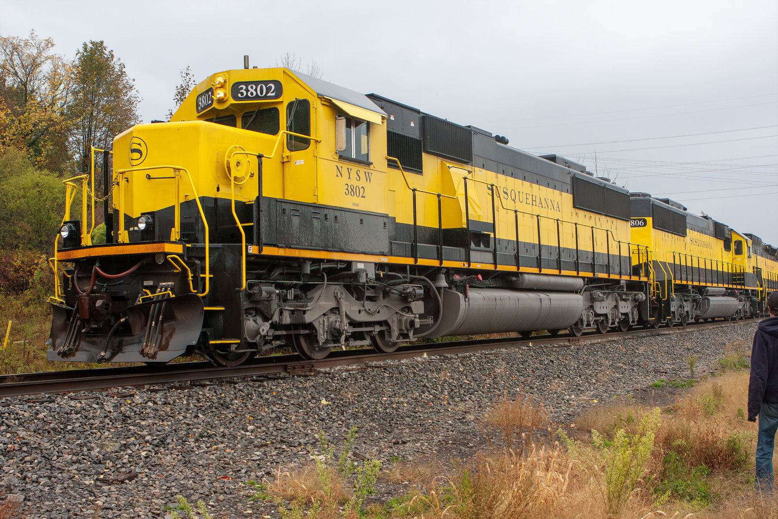 NYSW 3802