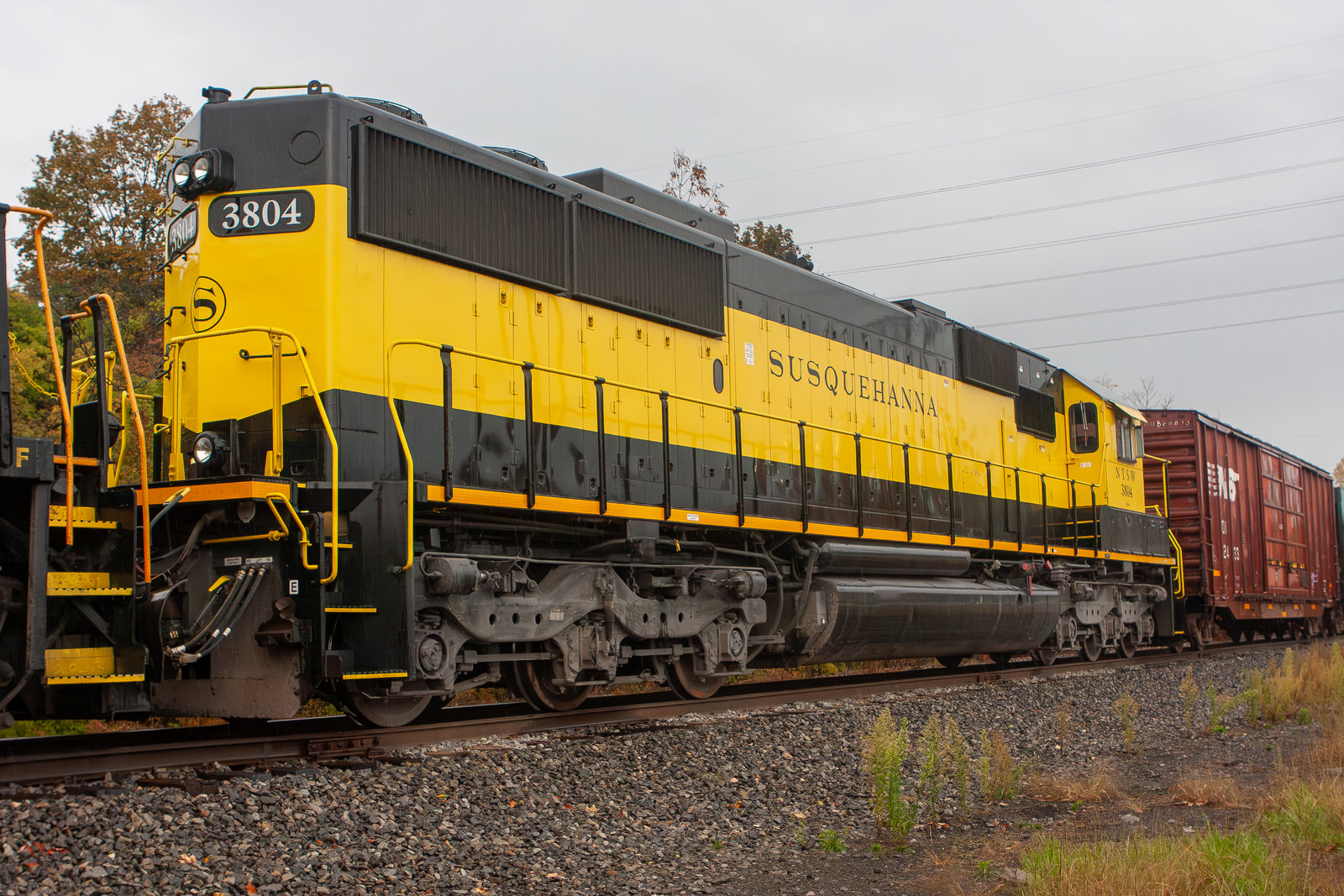 NYSW 3804