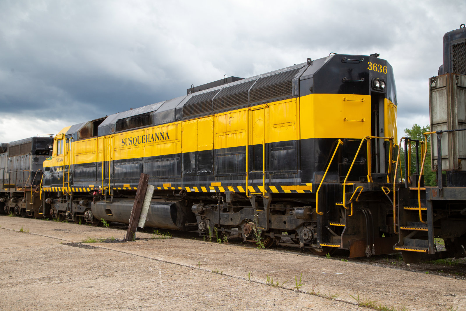 NYSW 3636