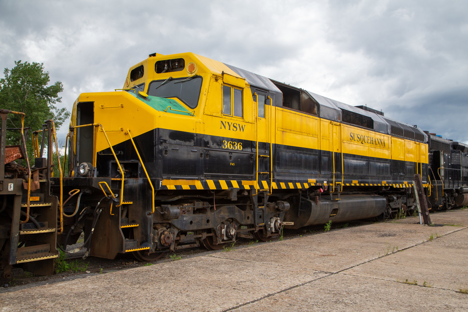 NYSW 3636