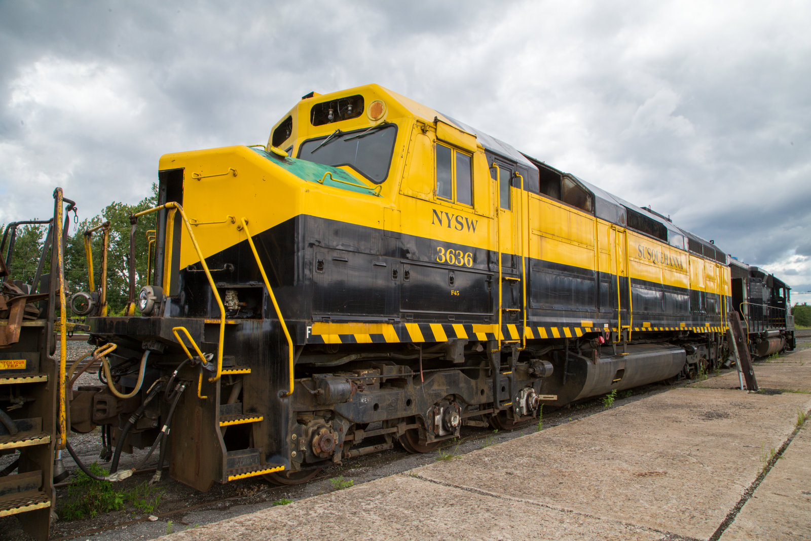 NYSW 3636