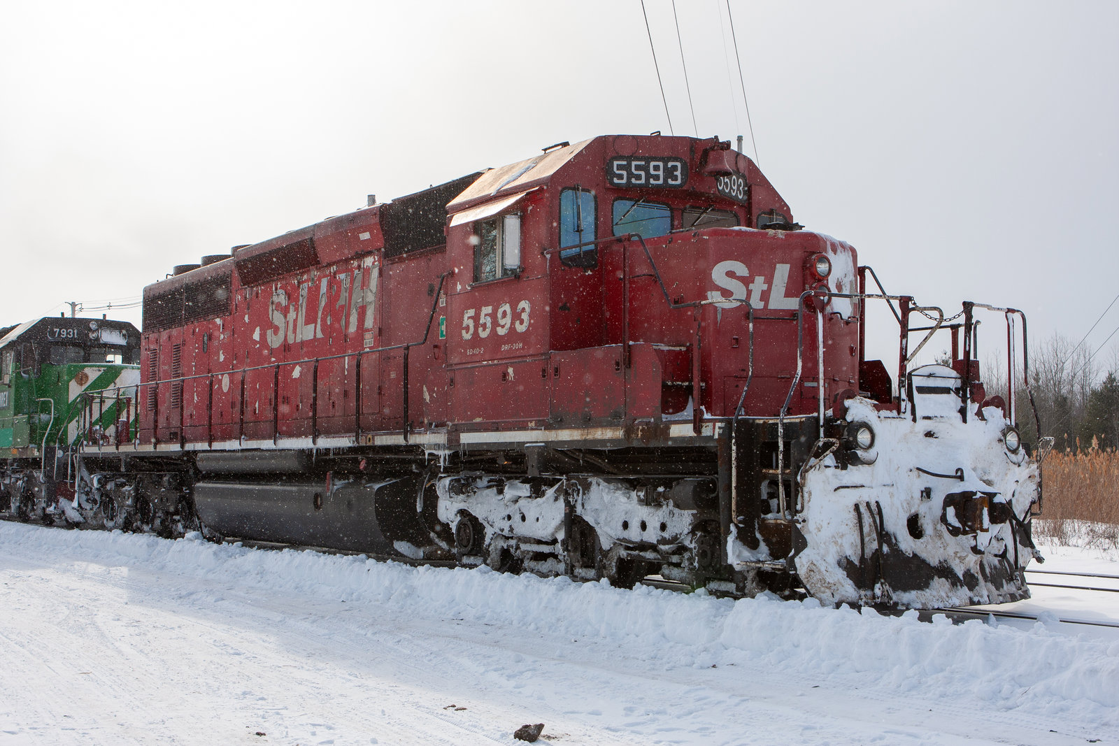 STLH 5593