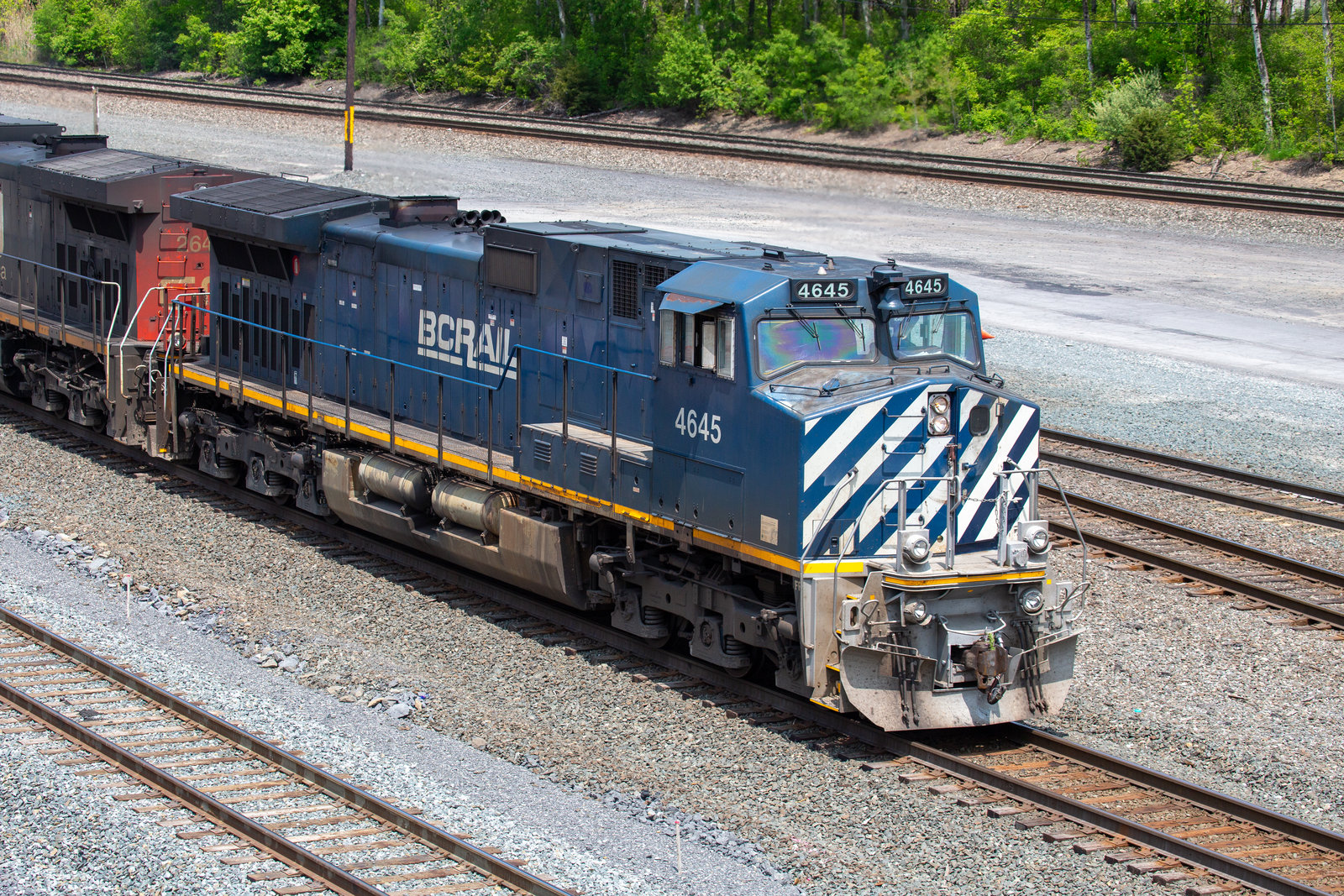 BCOL 4645
