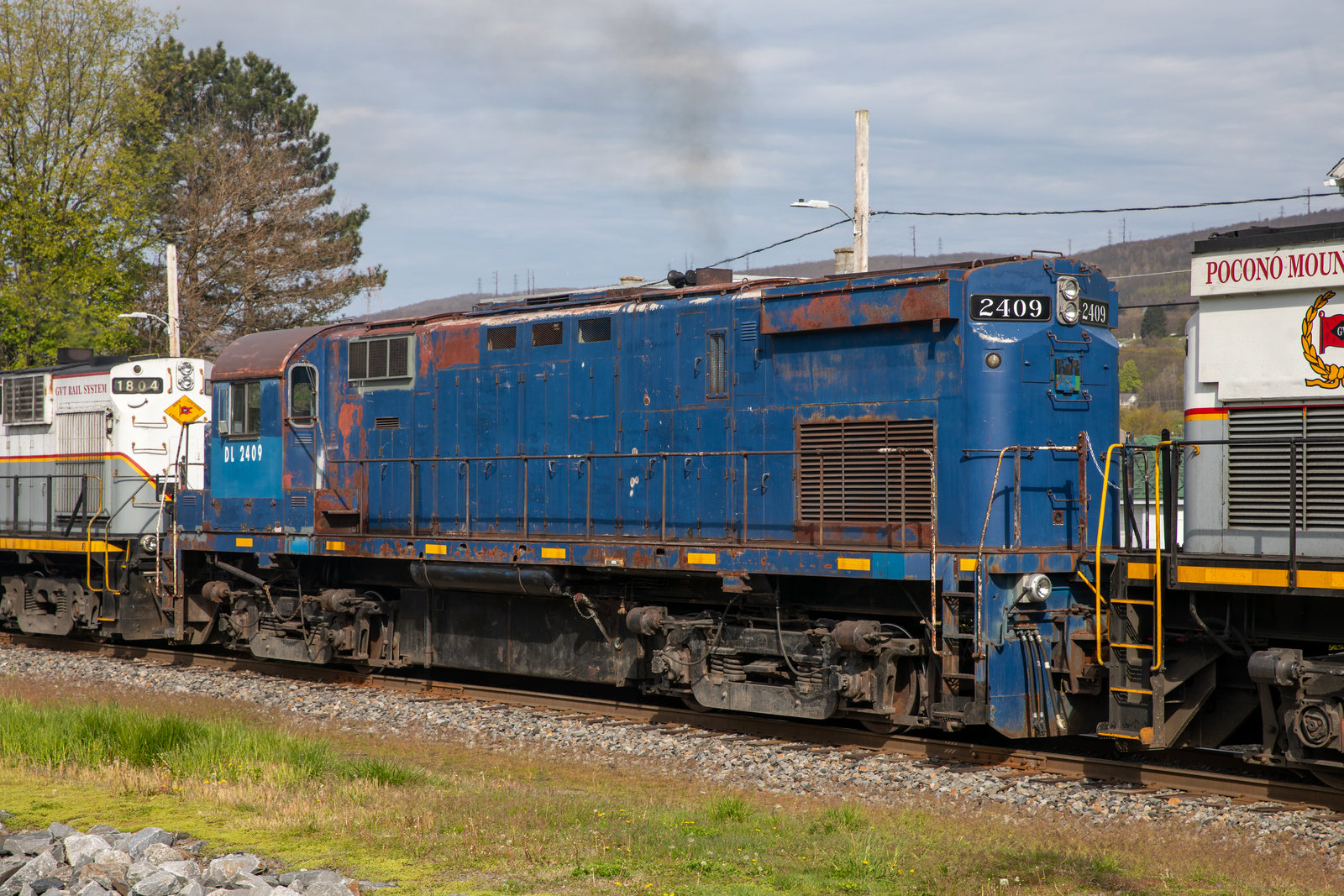 DL 2409